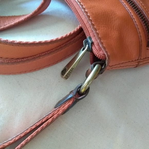 The flawed fossil purse - Picture 6 of 12